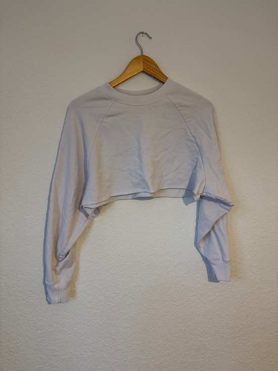 ALO Yoga Tops - ALO yoga Cropped Long-Sleeve Crew Top in Light Gray XS
